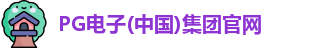 pg电子官方网站